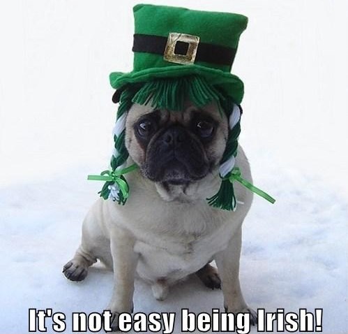  Funny Irish Pug St. Patrick's araw