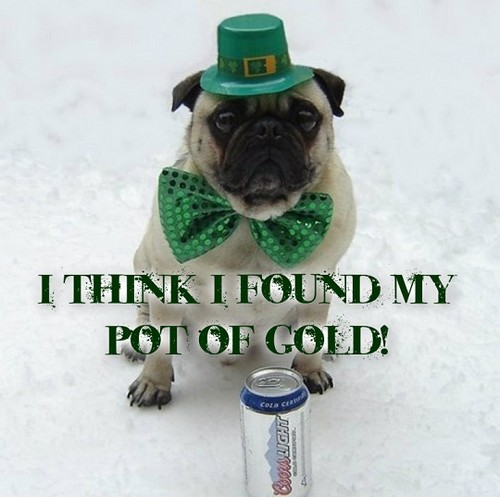  Funny Pug Dog St. Patrick día