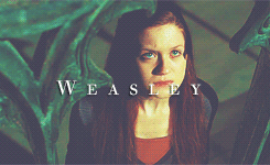  Ginny Weasley fã Art
