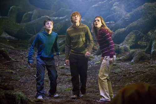  Harry Potter imagens
