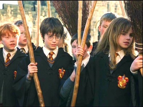 Harry Potter picha