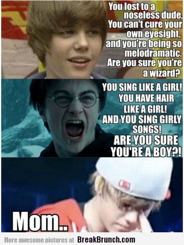  Harry Potter VS Justine Bieber