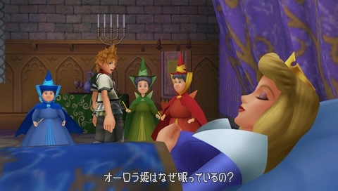  Kingdom Hearts Birth door sleep
