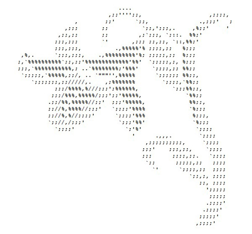Random ASCII from http://www.collectorsquest.com/blog/2012/04/30/collecting-ascii-art/