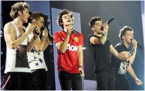 one direction Tour 2013