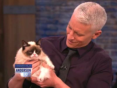  Anderson & Grumpy Cat