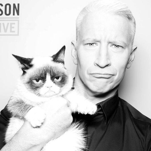  Anderson & Grumpy Cat