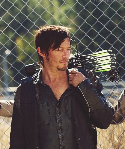  Daryl In Arrow On The Doorpost