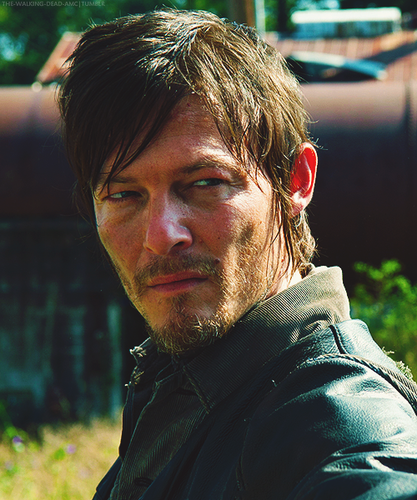 Daryl In Arrow On The Doorpost 