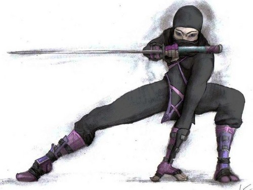  Female Ninja