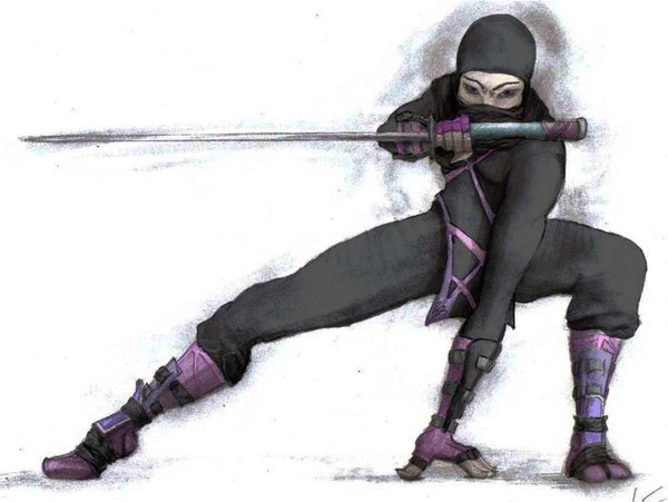 Female Ninja - Ninjas Photo (34049725) - Fanpop