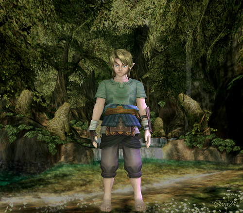  Link.