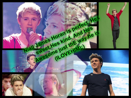  NIALL HORAN IS AWESOME