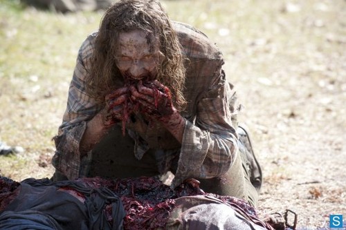  The Walking Dead Season 3 Episode 15