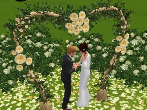  Twilight-Themed Wedding