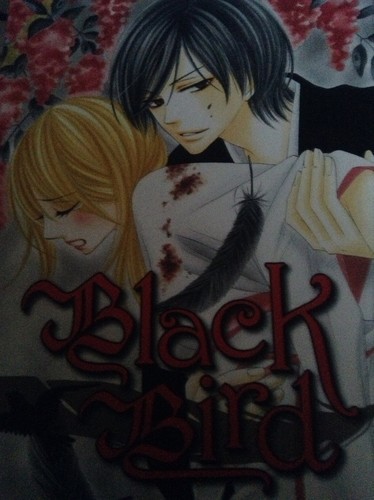  Black bird book 1 cover