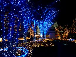  Blue Xmas in Tokyo