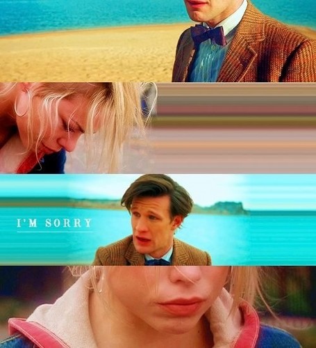 Doctor and rose 