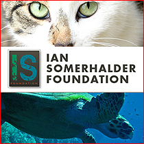  Ian Somerhalder Foundation