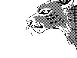 Lynx Snarl