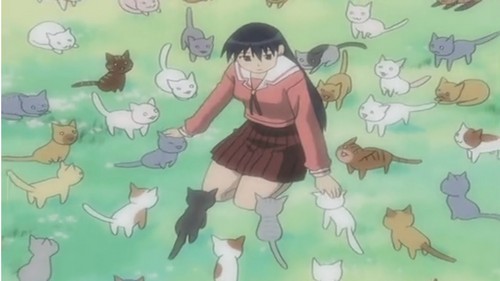  Sakaki and gatos