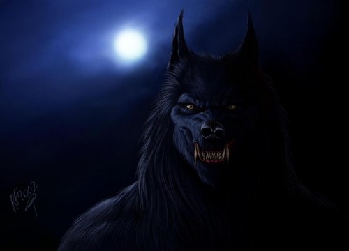  The Lycan