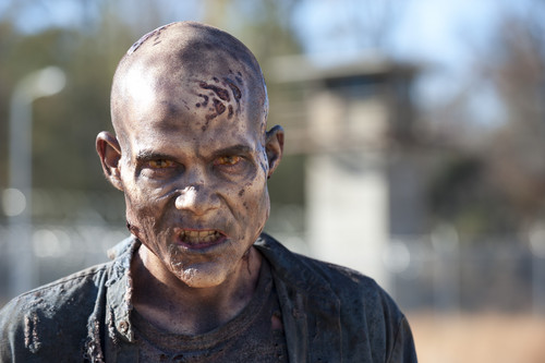  The Walking Dead - 3x16 - Welcome to the Tombs