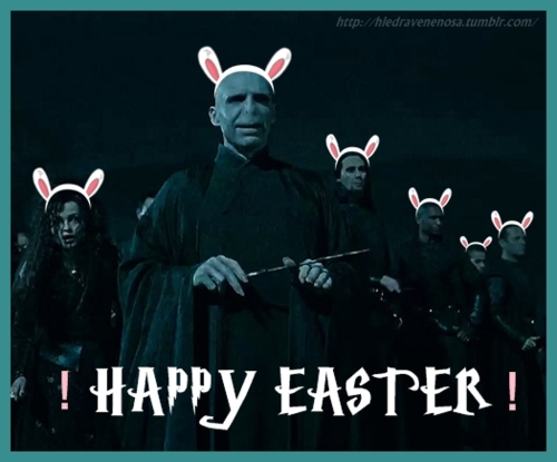 Voldy and Friends
