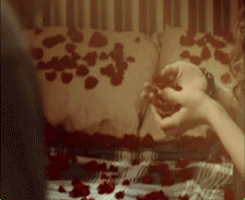  AU/ Little Klaroline obessions - His need to surprise her with flowers. In every way possible.