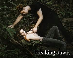  Breaking Dawn Part 1