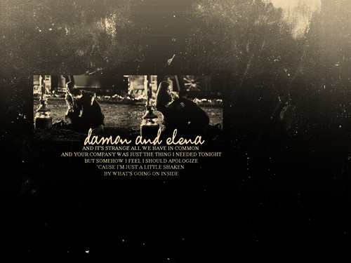  Damon+Elena