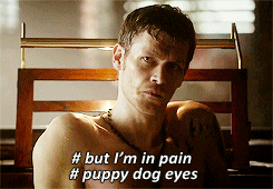  Klaus + welpe dog eyes.