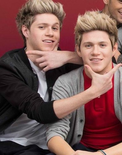  Niall and his Wax Model