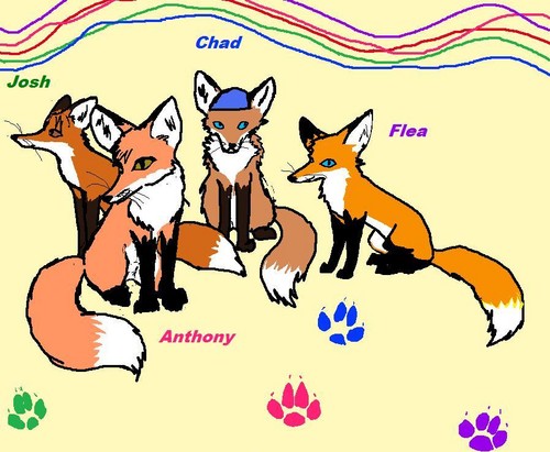 Red Hot Foxes