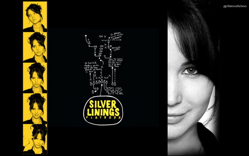  Silver Linings Playbook achtergronden