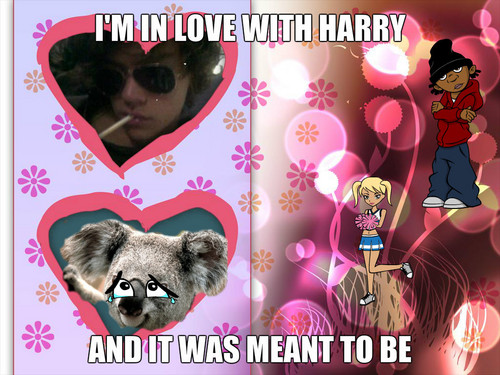  harry obsession