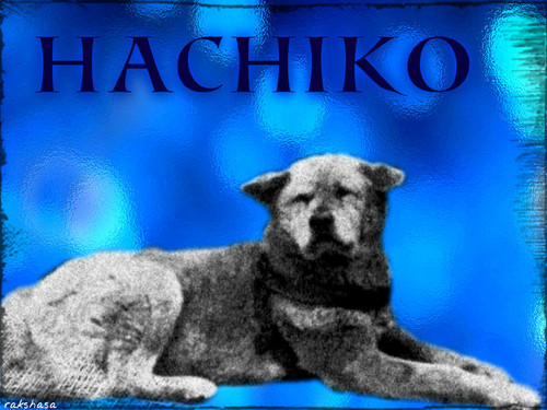 ★ Hachikō 忠犬ハチ公 ☆ 