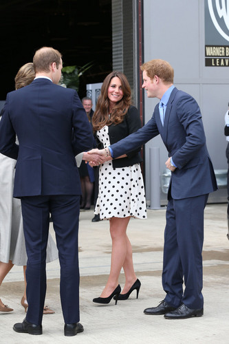  Prince Harry attend the launch of the Warner Bros Studios in Leavesden, Hertfordshire