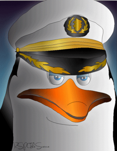 Commander Skipper