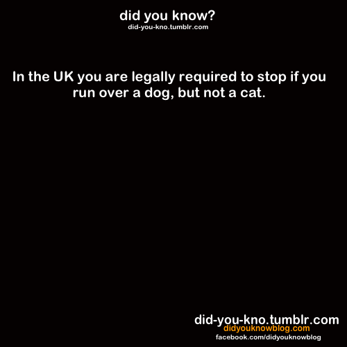  Did te Know?