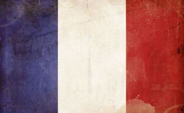  French Flag