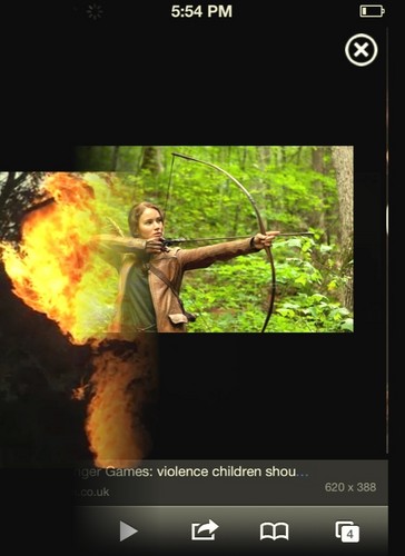  Katniss, the girl who was on api, kebakaran