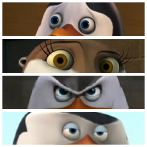  Penguins face expression