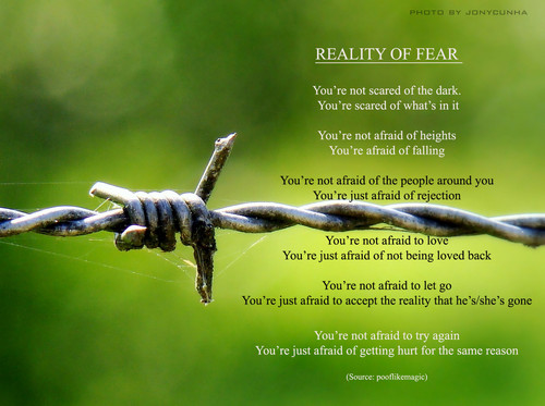  Reality of Fear