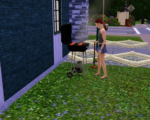 The Sims 3 screenshot