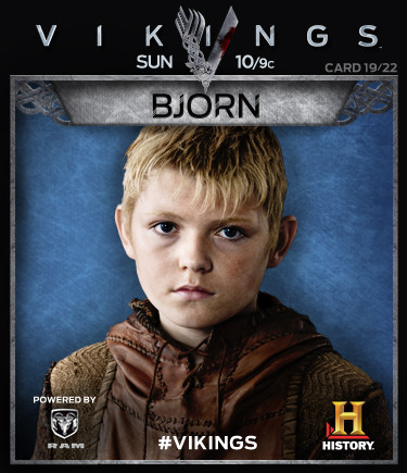  Vikings Collectable Cards 19