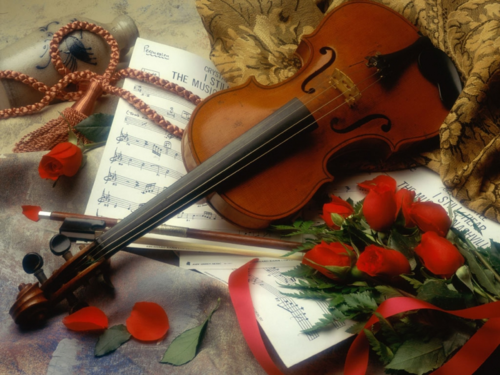  Violin & hoa hồng
