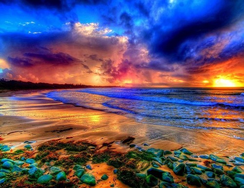  colorful bờ biển *