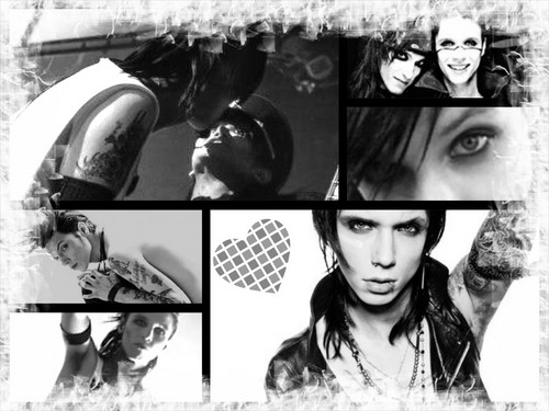  Andy <33333