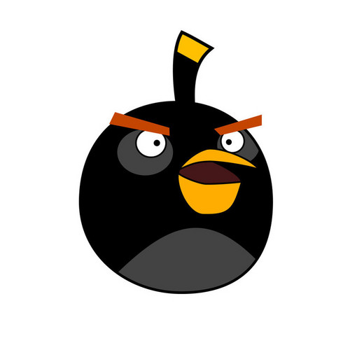  Black Bomb Bird